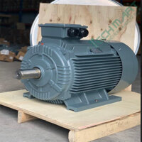 Motor điện 3 pha chân đế SGP 3kw