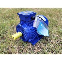 Motor điện 3 pha Toàn Phát 3kw(4hp) tua chậm 1400v/p bảo hành 12 tháng