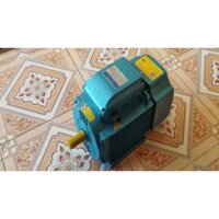 Motor điện ,động cơ điện 1 pha 2 ngựa