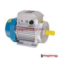 Motor điện Toàn Phát 0.75KW chuyên dùng cho máy băm chuối