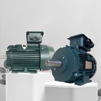 Motor điện Toshiba Y152ODMH7GS | Động cơ điện IE3 công suất 1.5kW