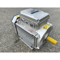 Motor động cơ điện 1 pha Toàn Phát 3,5kw chính hãng