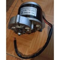 Motor Giảm Tốc 12V 250W, 24V 250W