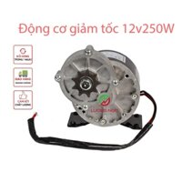 Motor giảm tốc 12v 250w có chổi than, Motor điện 12v