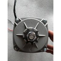Motor giảm tốc 12V 450W