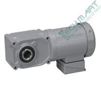 Motor giảm tốc cốt âm Nissei 100W F3S20N5-MM01TNNNN