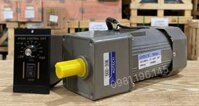 Motor giảm tốc mini 120w