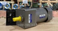 Motor giảm tốc mini 250w