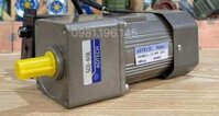 Motor giảm tốc mini 40w