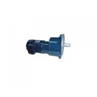 MOTOR GIẢM TỐC TỶ SỐ TRUYỀN 250-1800 MẶT BÍCH 1/2HP-0,4KW