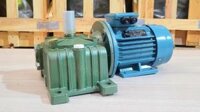 Motor giảm tốc WPDO 250 15kW 20Hp