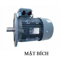 Motor mặt bích SGP 0.75KW 2P 380V