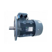Motor mặt bích SGP 80M1 0.75KW 2P 380V