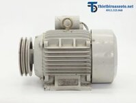 Motor máy nén khí 3HP 1 pha GZ300