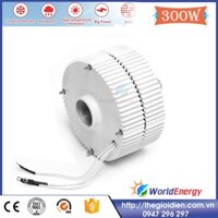 Motor máy phát điện gió 300W