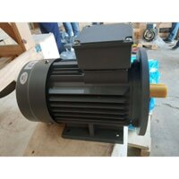 Motor QM 0.55kw/0.75hp 2P 3pha, chân đế mặt bích b35