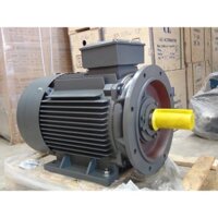 Motor QM 11kw/15hp 2P 3pha, chân đế mặt bích b35