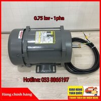 Motor Samwha 1 pha 0,75KW chuyên dùng ngành xăng dầu