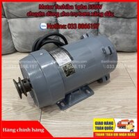 Motor Toshiba 1pha 550W chuyên dùng cho trụ bơm xăng dầu