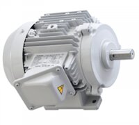 MOTOR TOSHIBA - 3PHA - 2P - CHÂN ĐẾ - 1HP