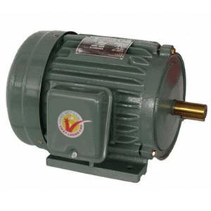 Motor vỏ gang chân đế Hồng Ký HKM312