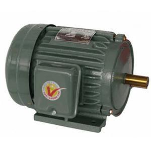 Motor vỏ gang chân đế Hồng Ký HKM112