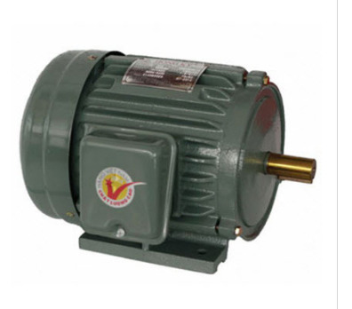 Motor vỏ gang chân đế Hồng Ký HKM532