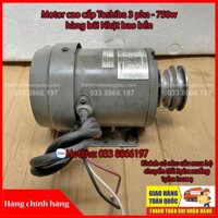 Motor xăng dầu Toshiba 3 pha - 750w hàng bãi Nhật Bản bao bền