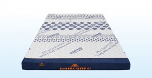 Nệm cao su Mouse Aloevera Sleep 01