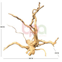 MS BP1- BỘ LŨA GỖ ĐỖ QUYÊN NGUYÊN KHỐI HÀNG TUYỂN ĐÃ XỬ LÝ