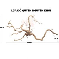 MS10 - BỘ LŨA GỖ ĐỖ QUYÊN NGUYÊN KHỐI