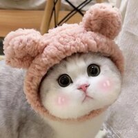Mũ cho mèo, băng đô dễ thương cho thú cưng, mũ gấu, mèo con, mèo sữa, mèo xanh, chó con, tai thỏ, trang phục vui nhộn
