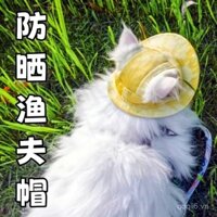 Mũ cho mèo có lỗ tai, mũ chống nắng mùa hè, mũ chống nắng màu vàng gradient, chó Ragdoll dễ thương, đạo cụ chụp ảnh