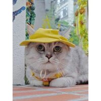 Mũ cho mèo có lỗ tai, mũ chống nắng mùa hè, mũ chống nắng màu vàng gradient, chó Ragdoll dễ thương, đạo cụ chụp ảnh