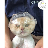Mũ chụp đầu chống cắn chó mèo,mũ phi hành gia cho chó mèo.-ChuChuPet