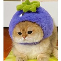 Mũ gấu trúc cho thú cưng, mũ đội đầu gấu bông, mèo lông ngắn Anh, chó nhỏ, mũ đội đầu chụp ảnh cho