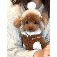 Mũ phi công cho chó mèo lót bông dày dặn