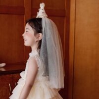 Mũ sinh nhật tiệc cho bé gái, mũ sinh nhật công chúa, băng đô lưới, khăn che mặt công chúa, phụ kiện tóc