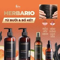 [MUA 1 TẶNG 1] Bộ tứ chăm sóc tóc Herbario + Tặng 1 túi chườm giảm đau bụng