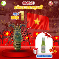 [MUA 1 TẶNG 1] Tôm Hùm Bông Đông Lạnh | 1 Con ~ 500Gr
