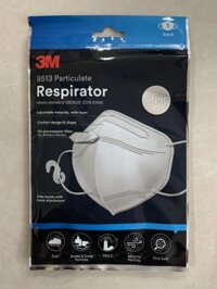 Mua 2 tặng 1Khẩu trang kháng khuẩn và chống bụi đạt chuẩn KN95 3M 9513 - Trắng