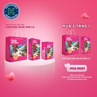 [MUA 3 TẶNG 1] Trà Túi Lọc Cascara Blue Sơn La Hộp Cao Cấp, Trà Từ 100% Vỏ Cà Phê Arabica Chín Đỏ