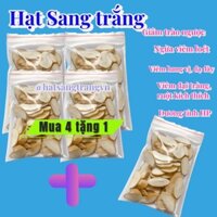 Mua 4 gói hạt Sang trắng, hạt sành (tặng thêm 1 gói) - Khắc tinh của đau dạ dày, đaị tràng, vi khuẩn HP