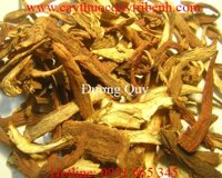 Mua bán đương quy tại Bình Định giúp trị bệnh thiếu máu tốt nhất