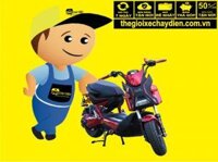 Mua bình ắc quy xe đạp điện cũ 12V - 12A