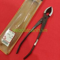 Mua Cạp Xéo cắt cành Nhật bản KikuWa ở đâu