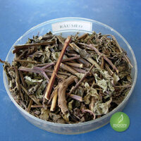 Mua Cây râu mèo - Thảo dược xanh số 1 Jindo.vn - JD015 cayraumeo v2