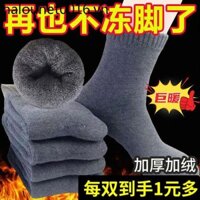 Mùa Đông Chống Lạnh Tất Nam Mùa Đông Tất Nam Mùa Đông Vớ Dày Ống Dài Len Tất Lông Cừu Khử Mùi Giữa Ống Giữ Ấm