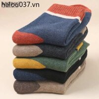 Mùa Đông Dày Tất Nam Thu Đông Lông Cừu Dày Họa Tiết Màu Nam Tất Sinh Viên Thu Đông Lông Cừu