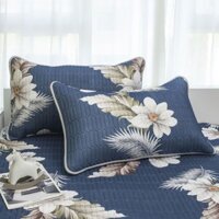 Mùa Hè Băng Lụa Cao Su Gối Cặp Hộ Gia Đình 48X74cm Đơn Một 40X60 Có Thể Giặt Được Vỏ Gối Lớn
